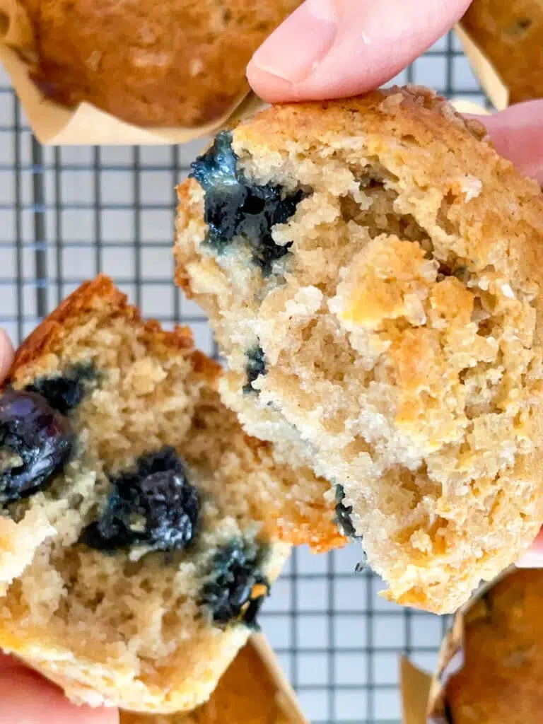 Moist Blueberry Muffins Recipe