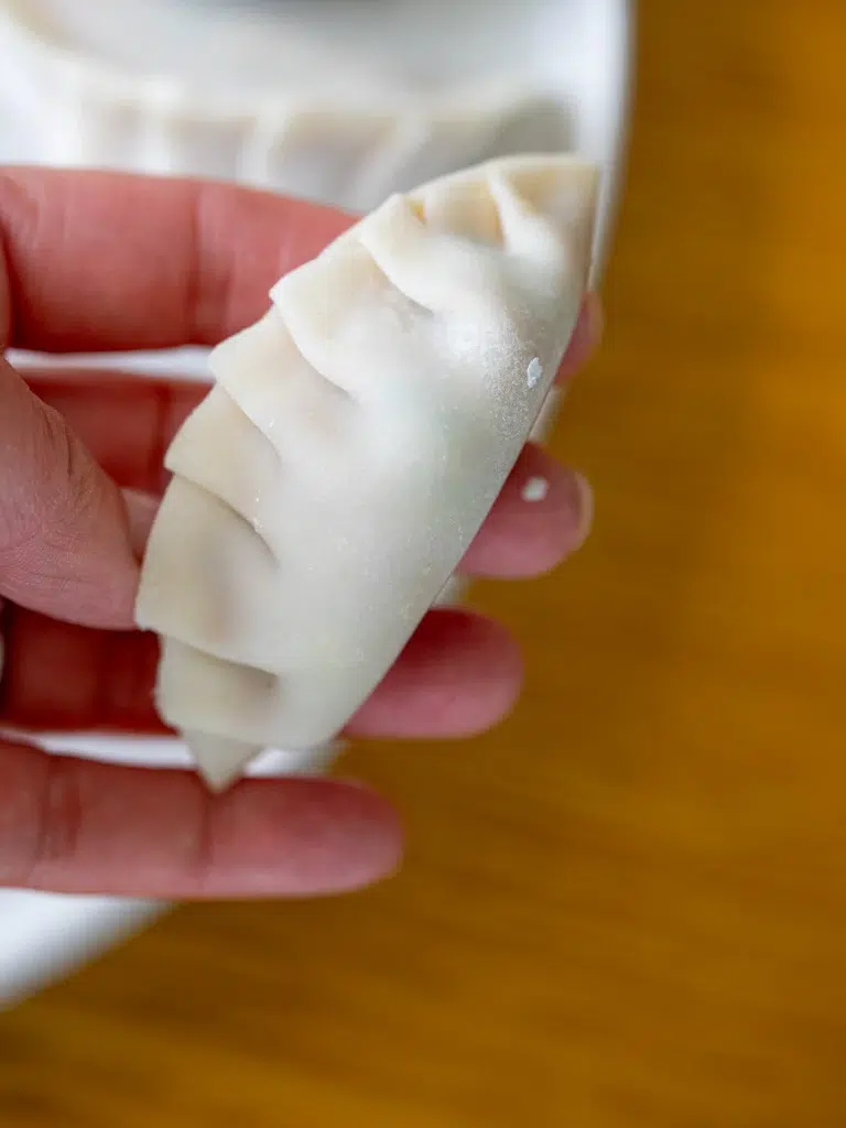 Uncooked folded pork and cabbage dumpling ready to be cooked